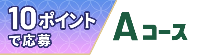 10ポイントで応募　Aコース