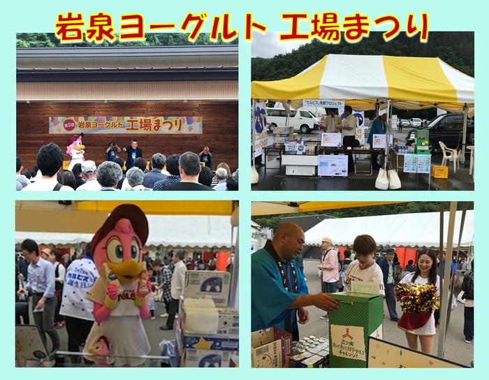 岩泉ヨーグルト工場まつり.jpg