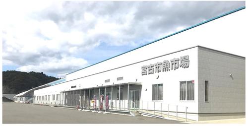 宮古市魚市場（8）.jpg