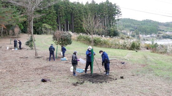 植樹会2021.11.23(2).jpg
