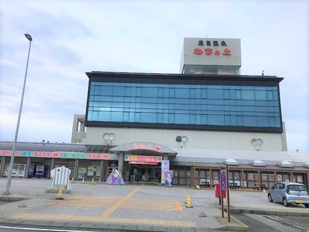 ねむの丘①.jpg