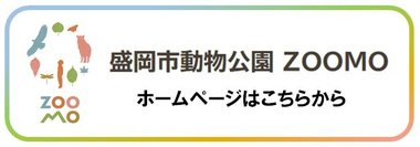 ZOOMOバナー.jpg
